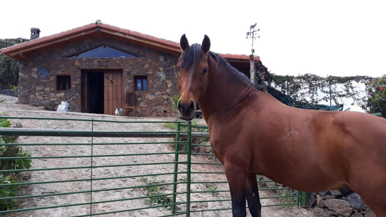 Finca Rural House Tenerife Relax And Enjoy 圣乌尔苏拉 外观 照片