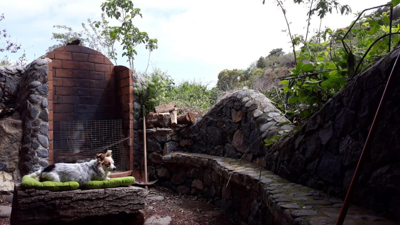 Finca Rural House Tenerife Relax And Enjoy 圣乌尔苏拉 外观 照片