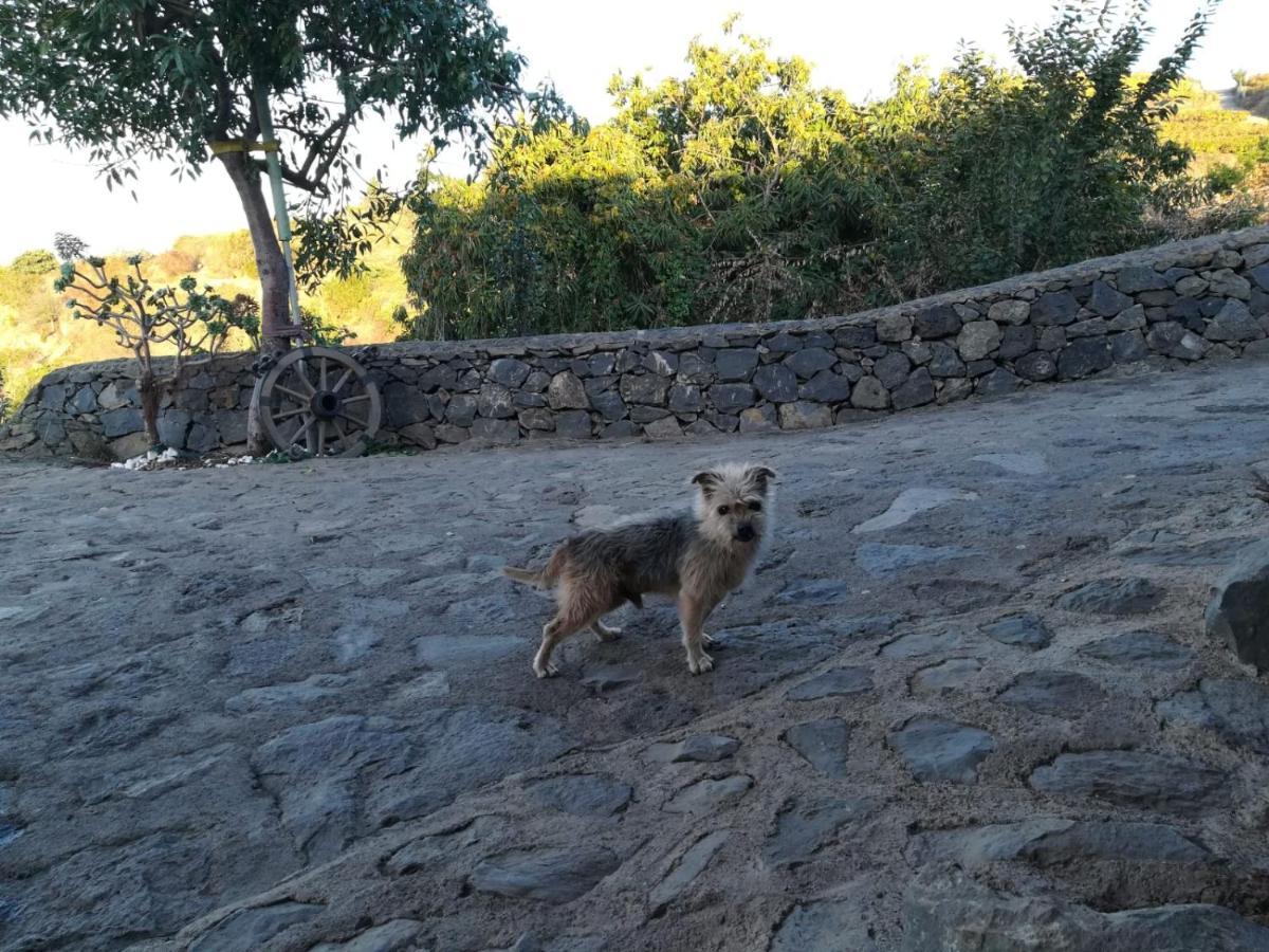 Finca Rural House Tenerife Relax And Enjoy 圣乌尔苏拉 外观 照片