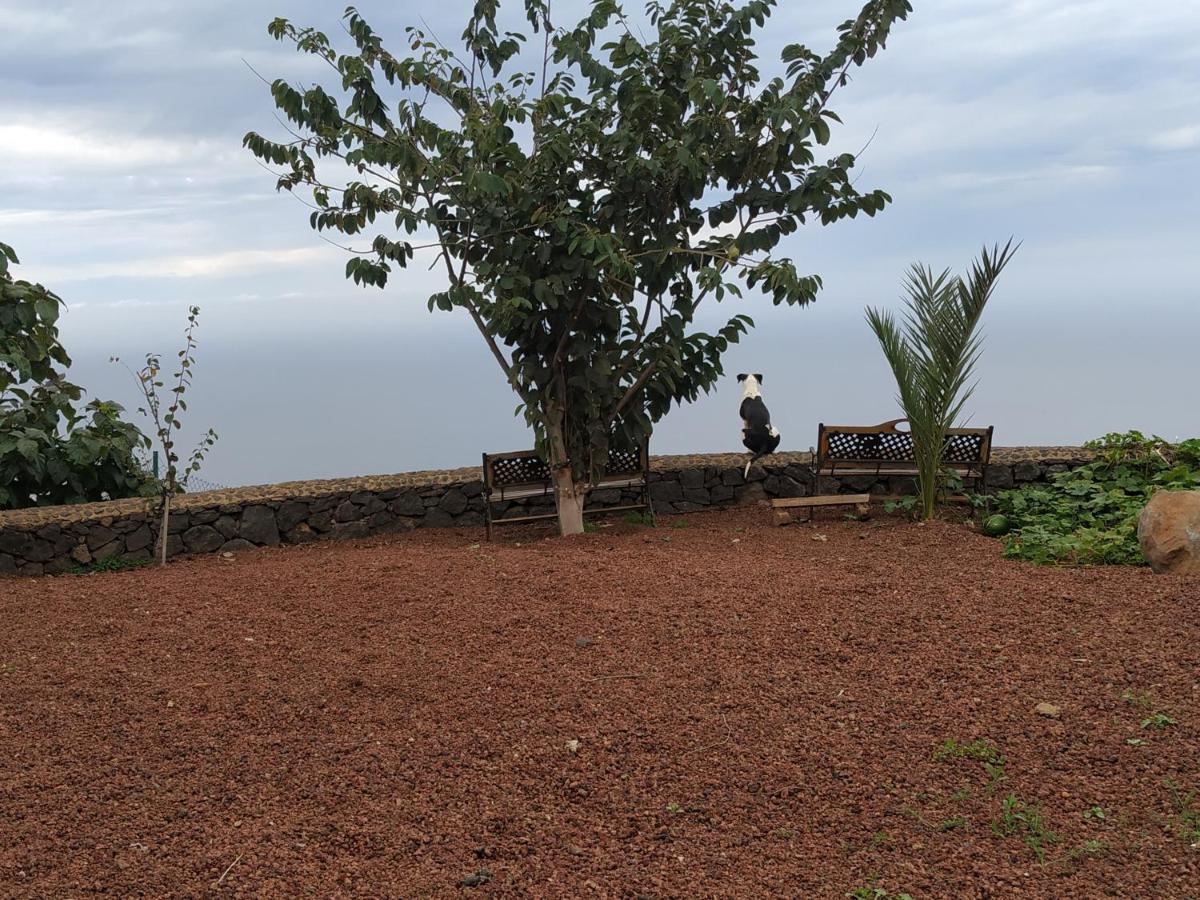 Finca Rural House Tenerife Relax And Enjoy 圣乌尔苏拉 外观 照片