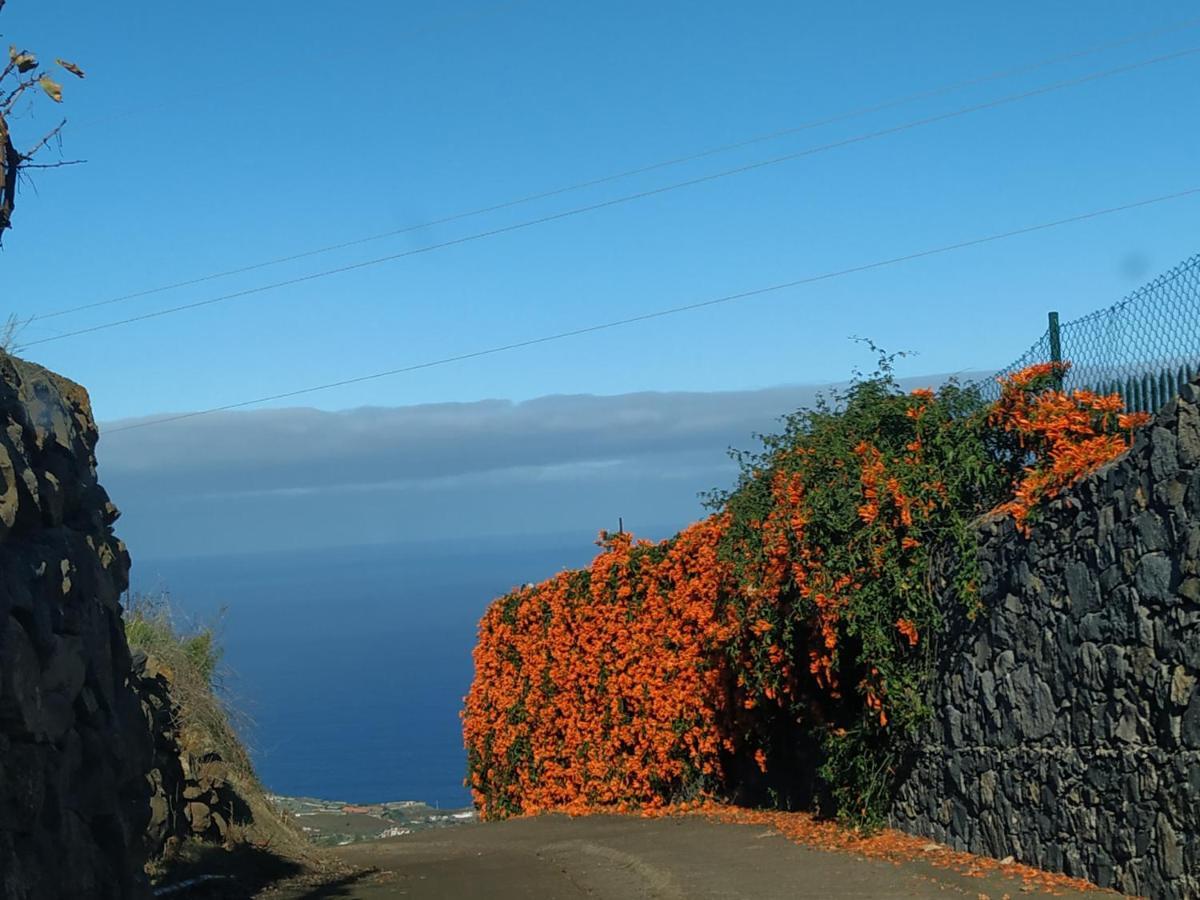Finca Rural House Tenerife Relax And Enjoy 圣乌尔苏拉 外观 照片