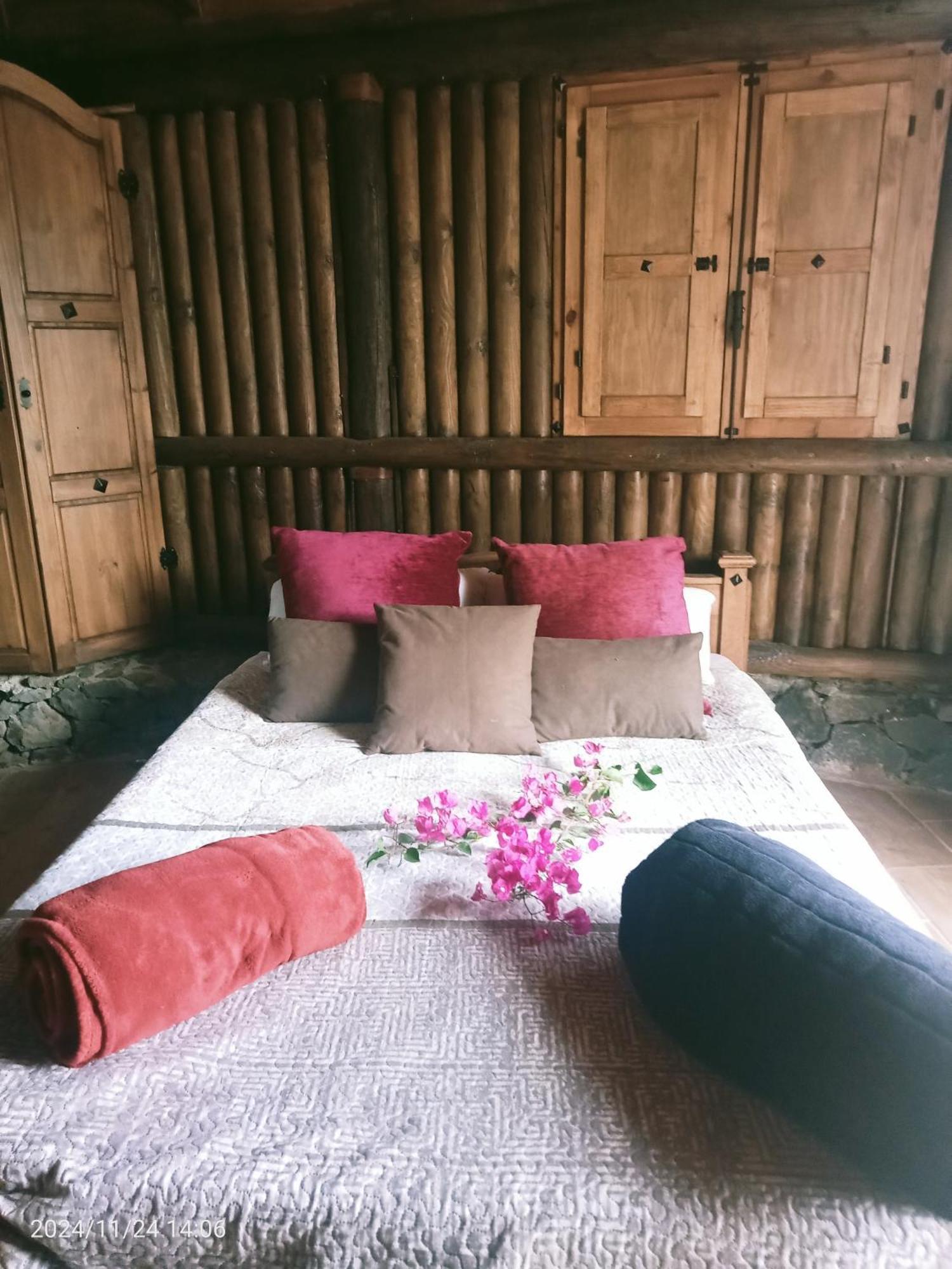 Finca Rural House Tenerife Relax And Enjoy 圣乌尔苏拉 外观 照片