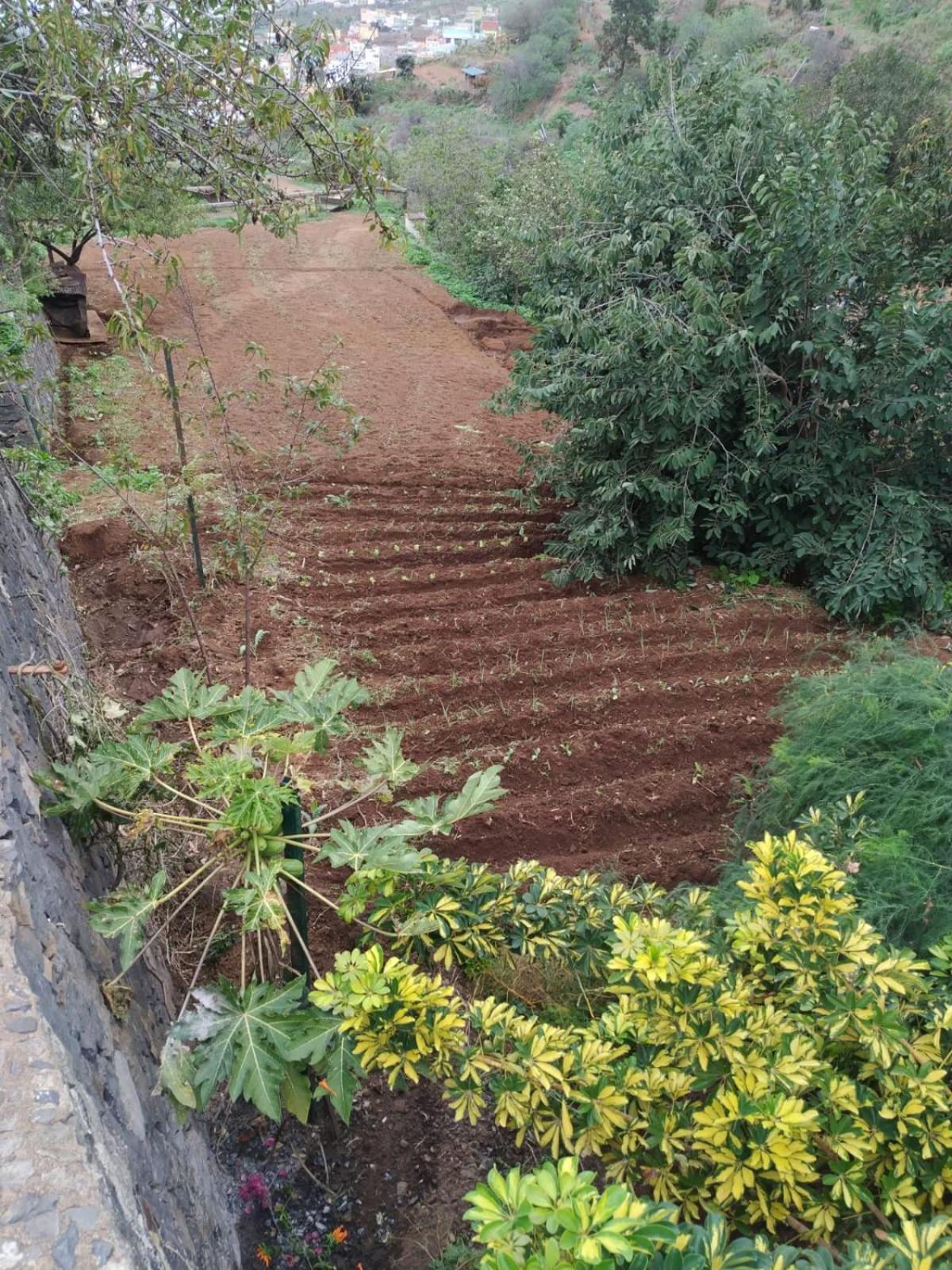 Finca Rural House Tenerife Relax And Enjoy 圣乌尔苏拉 外观 照片
