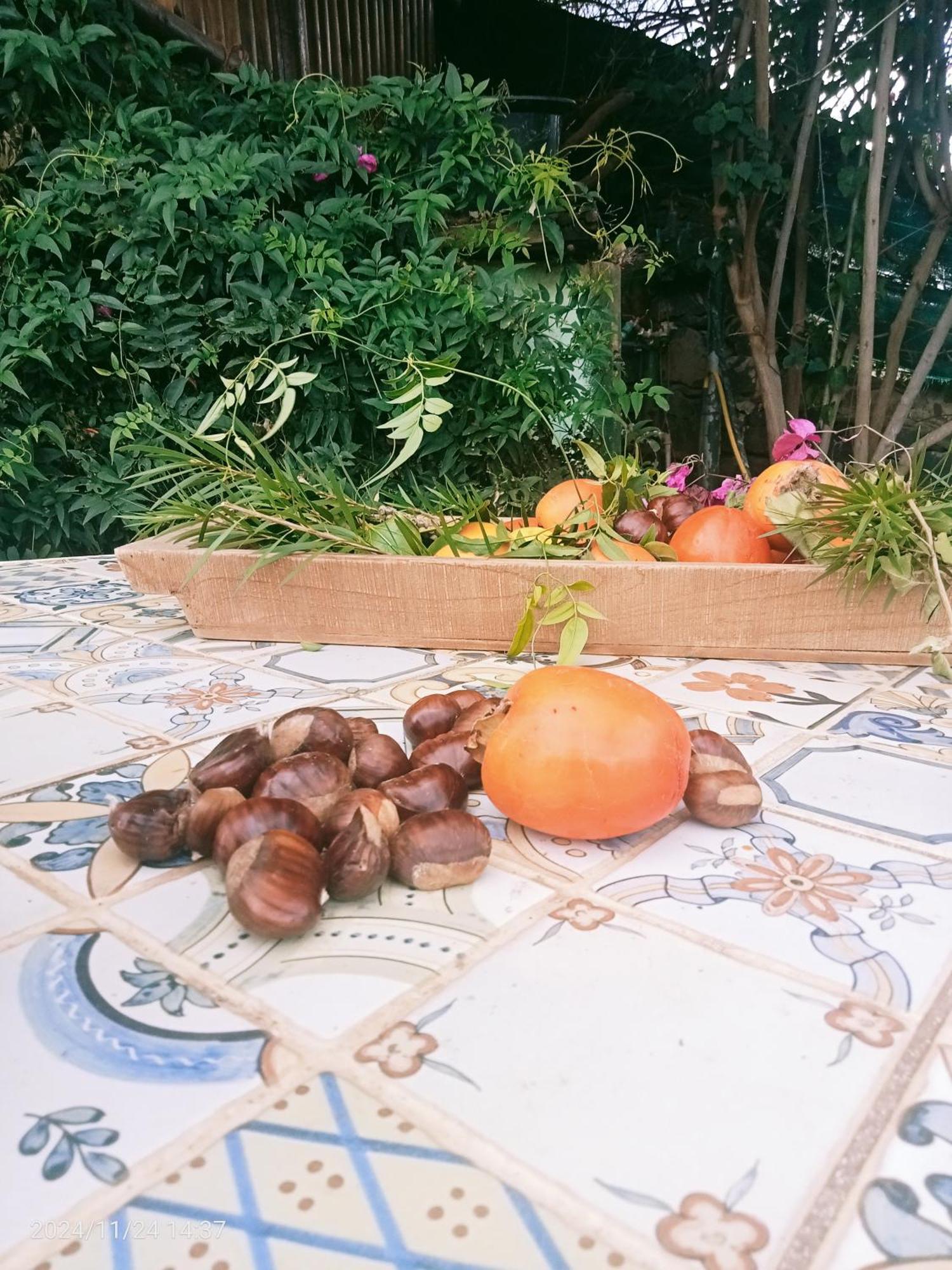 Finca Rural House Tenerife Relax And Enjoy 圣乌尔苏拉 外观 照片