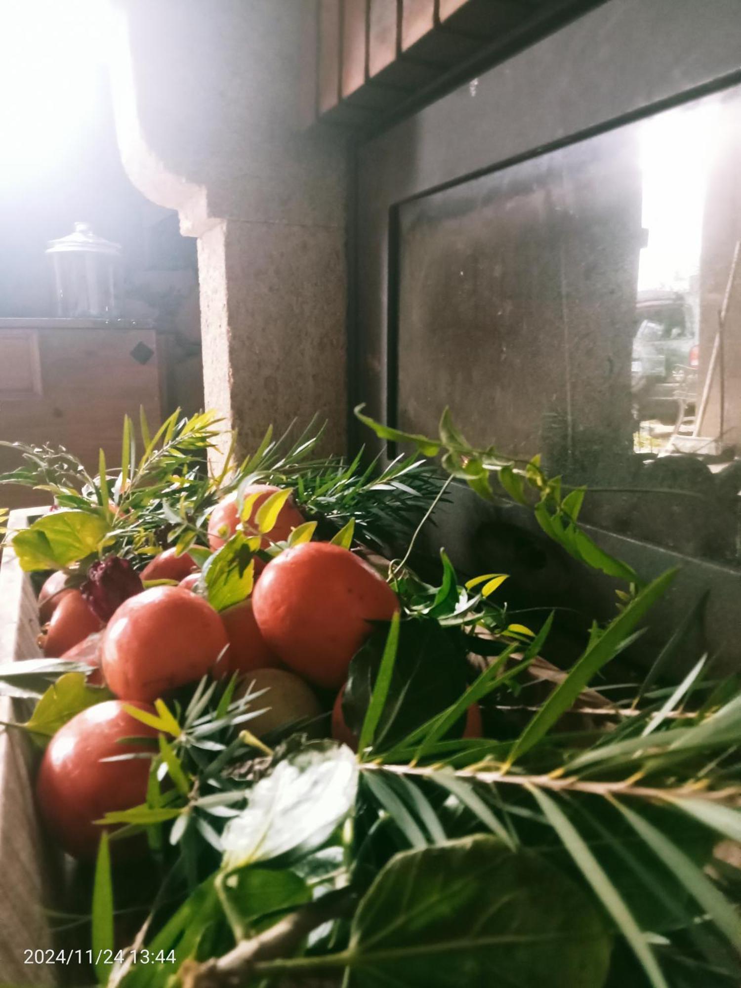 Finca Rural House Tenerife Relax And Enjoy 圣乌尔苏拉 外观 照片