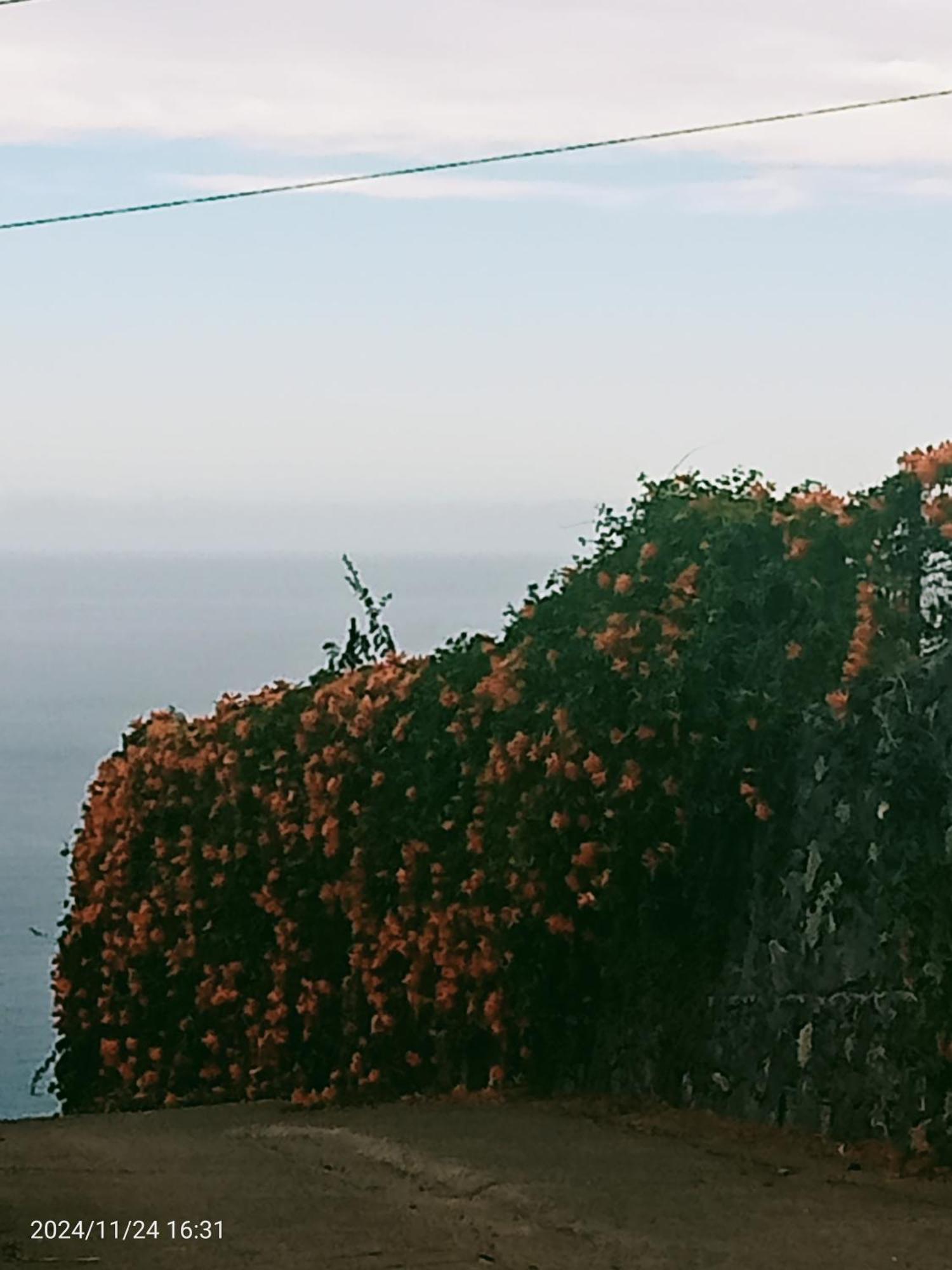 Finca Rural House Tenerife Relax And Enjoy 圣乌尔苏拉 外观 照片