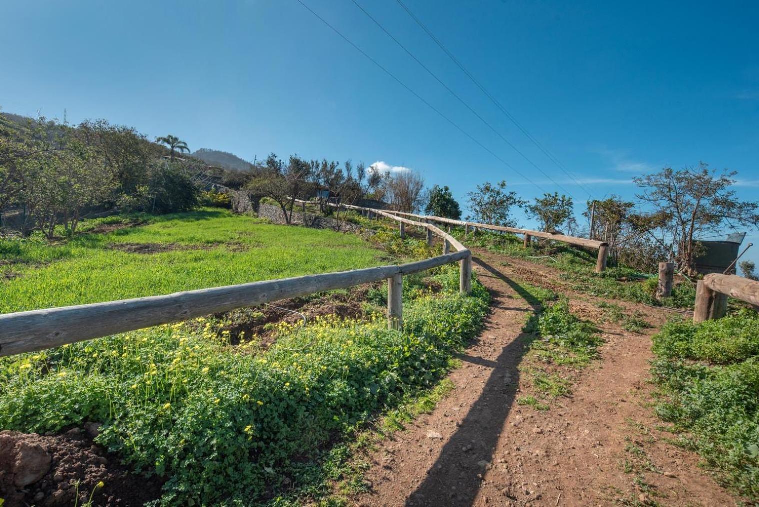 Finca Rural House Tenerife Relax And Enjoy 圣乌尔苏拉 外观 照片