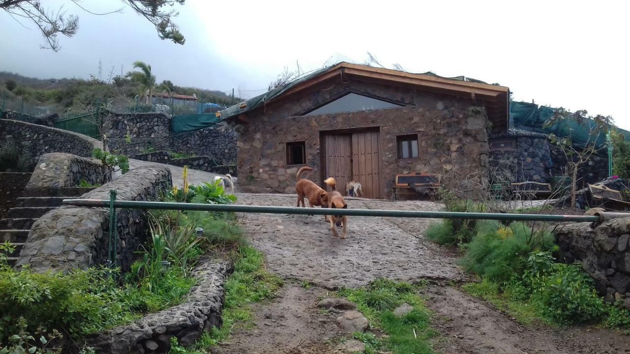 Finca Rural House Tenerife Relax And Enjoy 圣乌尔苏拉 外观 照片