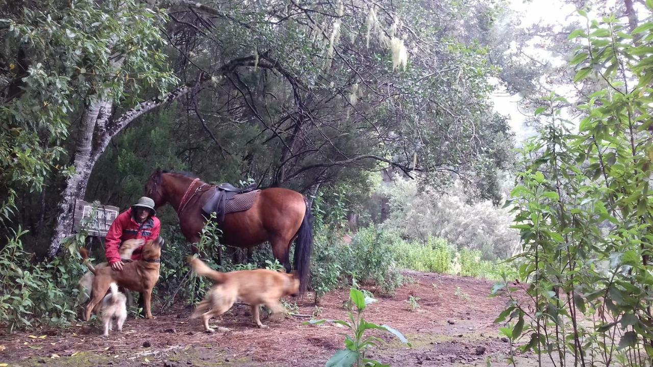 Finca Rural House Tenerife Relax And Enjoy 圣乌尔苏拉 外观 照片