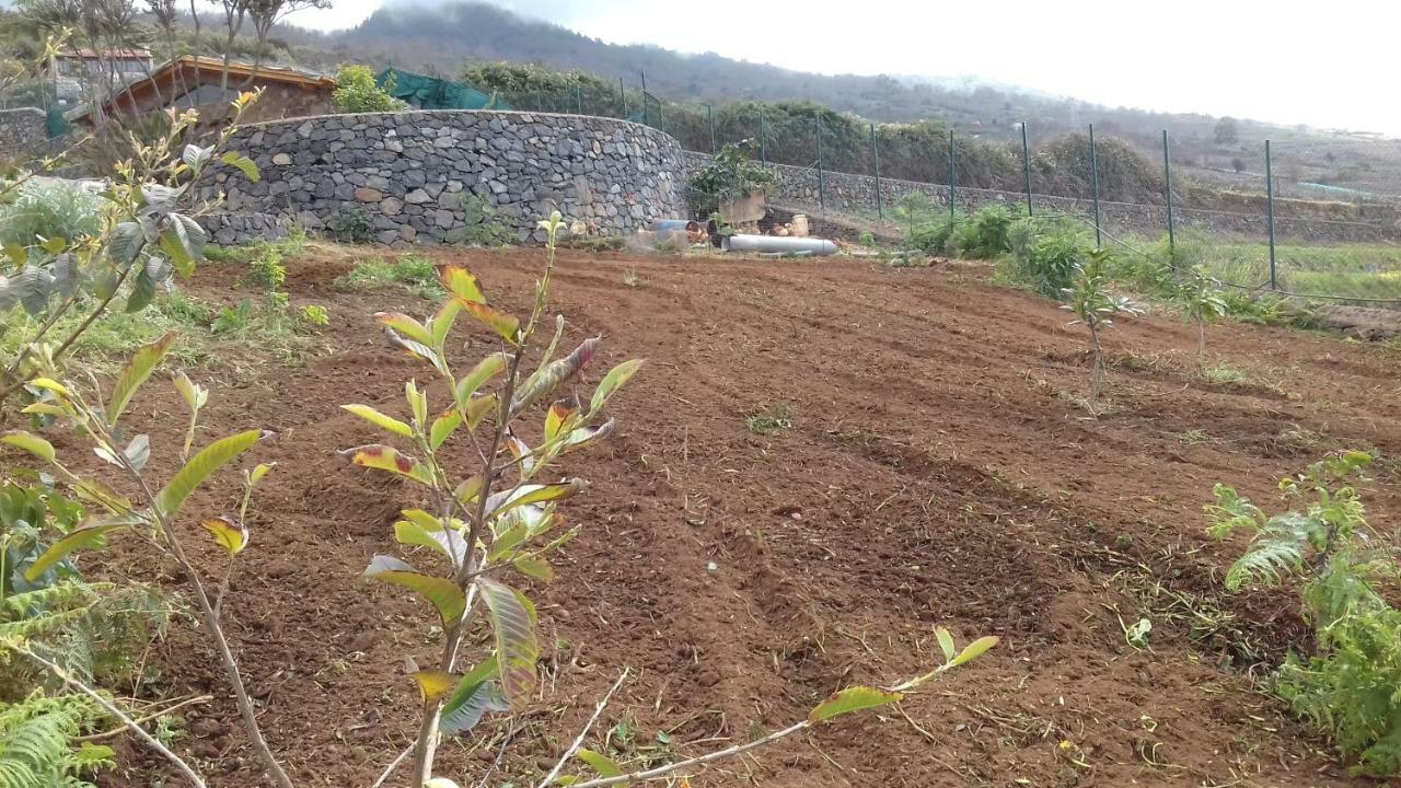 Finca Rural House Tenerife Relax And Enjoy 圣乌尔苏拉 外观 照片