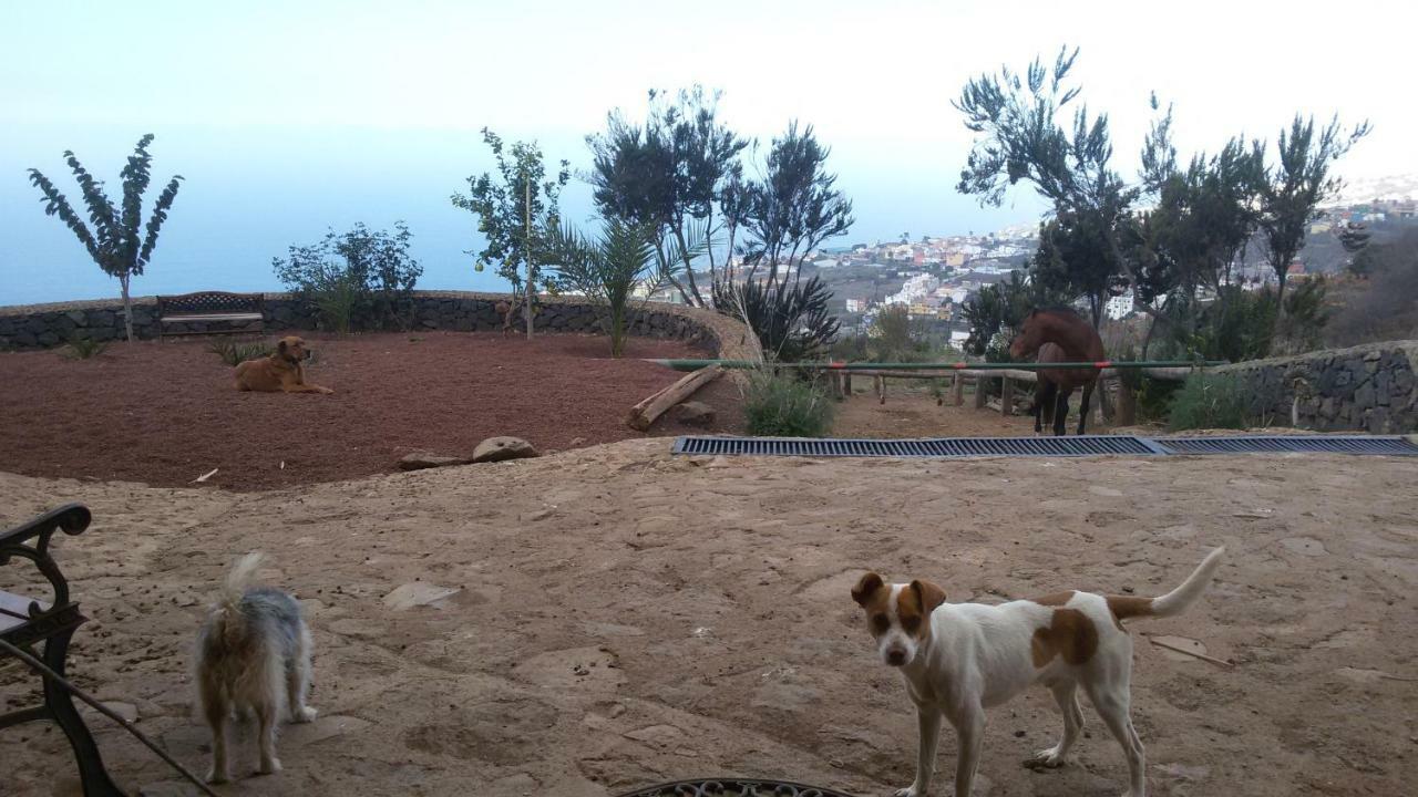 Finca Rural House Tenerife Relax And Enjoy 圣乌尔苏拉 外观 照片